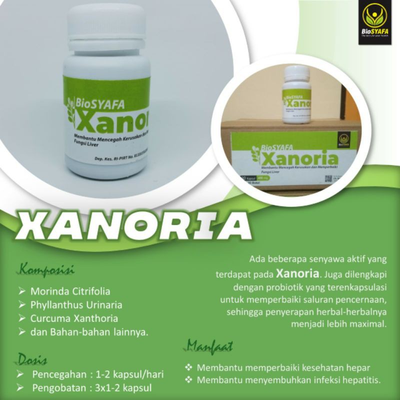 Jual BIOSYAFA XANORIA PROBIOTIK MENGATASI LIVER KRONIS HEPATITIS B ...