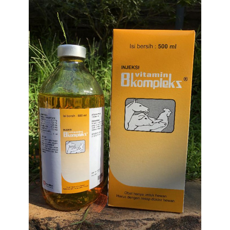 Jual Vitamin B kompleks injeksi 500 ml | Shopee Indonesia