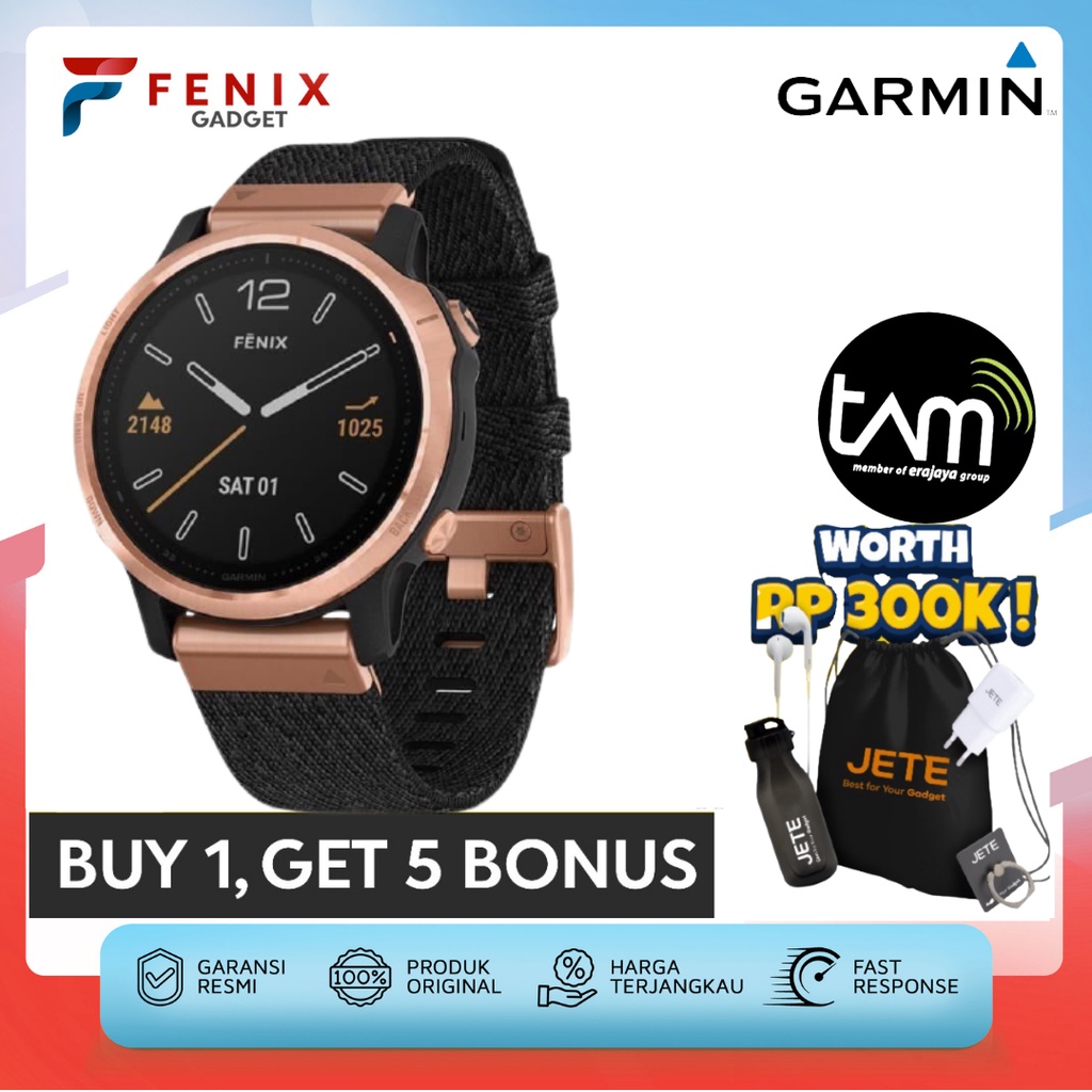 Garmin fenix 6s online harga