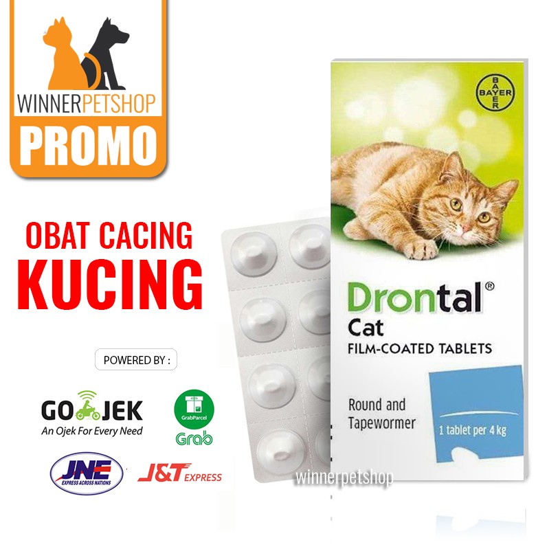 Drontal untuk cheap kitten