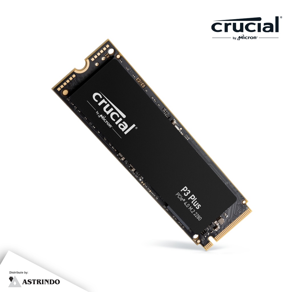 新品未開封 Crucial P3 Plus NVMe M 2 旨 SSD 1TB 売買されたオークション情報 落札价格 【au  payマーケット】の商品情報をアーカイブ公開