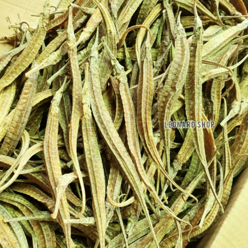 Jual NAGA LAUT GRADE A SUPER BESAR KERING HAI LONG 海龙 HERBAL OBAT ...