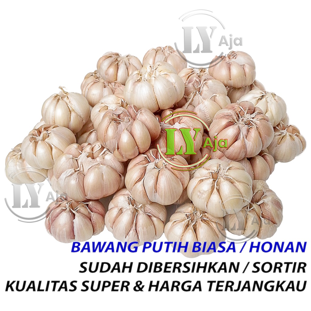 Jual Bawang Putih Biasa Honan 1 Kg Bersih Dan Kotor Kualitas Super Ly