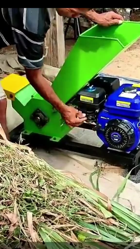 Jual Mesin Mini Chopper Pencacah Rumput Ranting Pakan Ternak ...