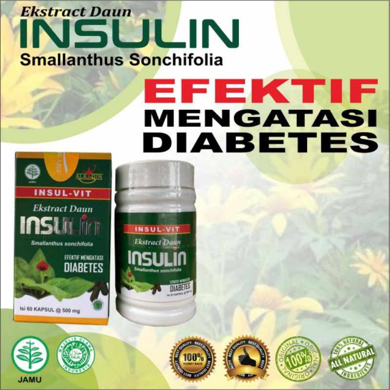Kapsul Ekstrak Daun Insulin Insul-Vit Ash-Shihhah Efektif Atasi Diabetes Turunkan Gula Darah
