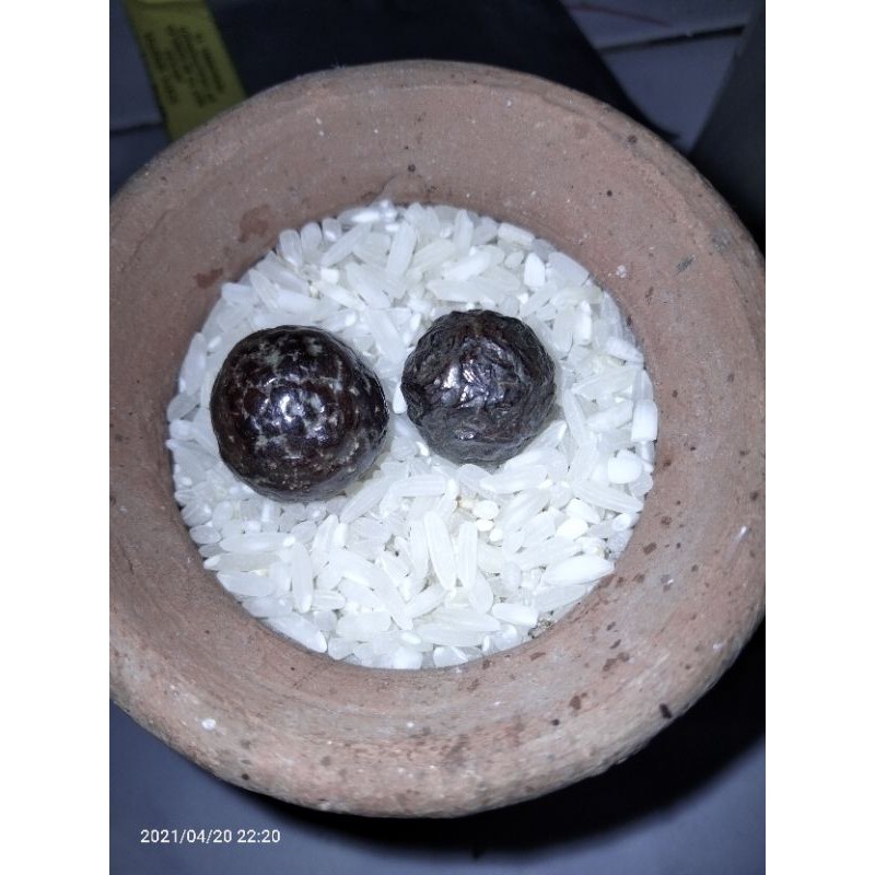 Jual munta besi | Shopee Indonesia