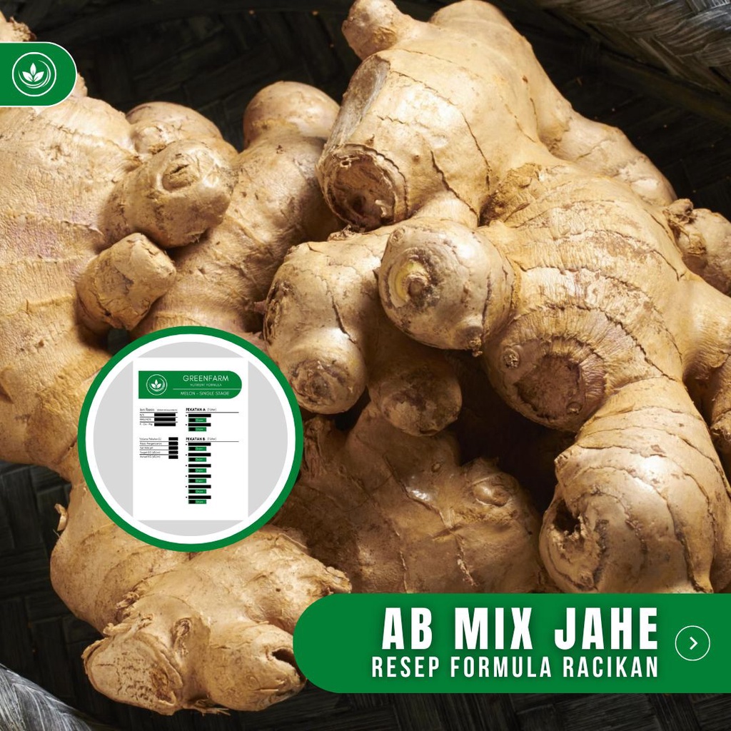 Jual Resep AB Mix Jahe Formula Racikan Nutrisi Pupuk Jahe | Shopee ...