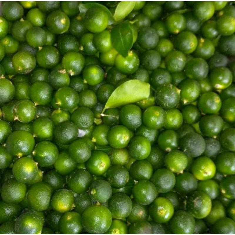 Jual jeruk sonkit lemon Cui 1kg | Shopee Indonesia