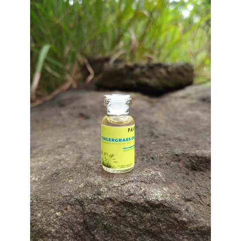 Jual sample 3 ml - gingergrass oil / minyak rumput jahe (Cymbopogon ...