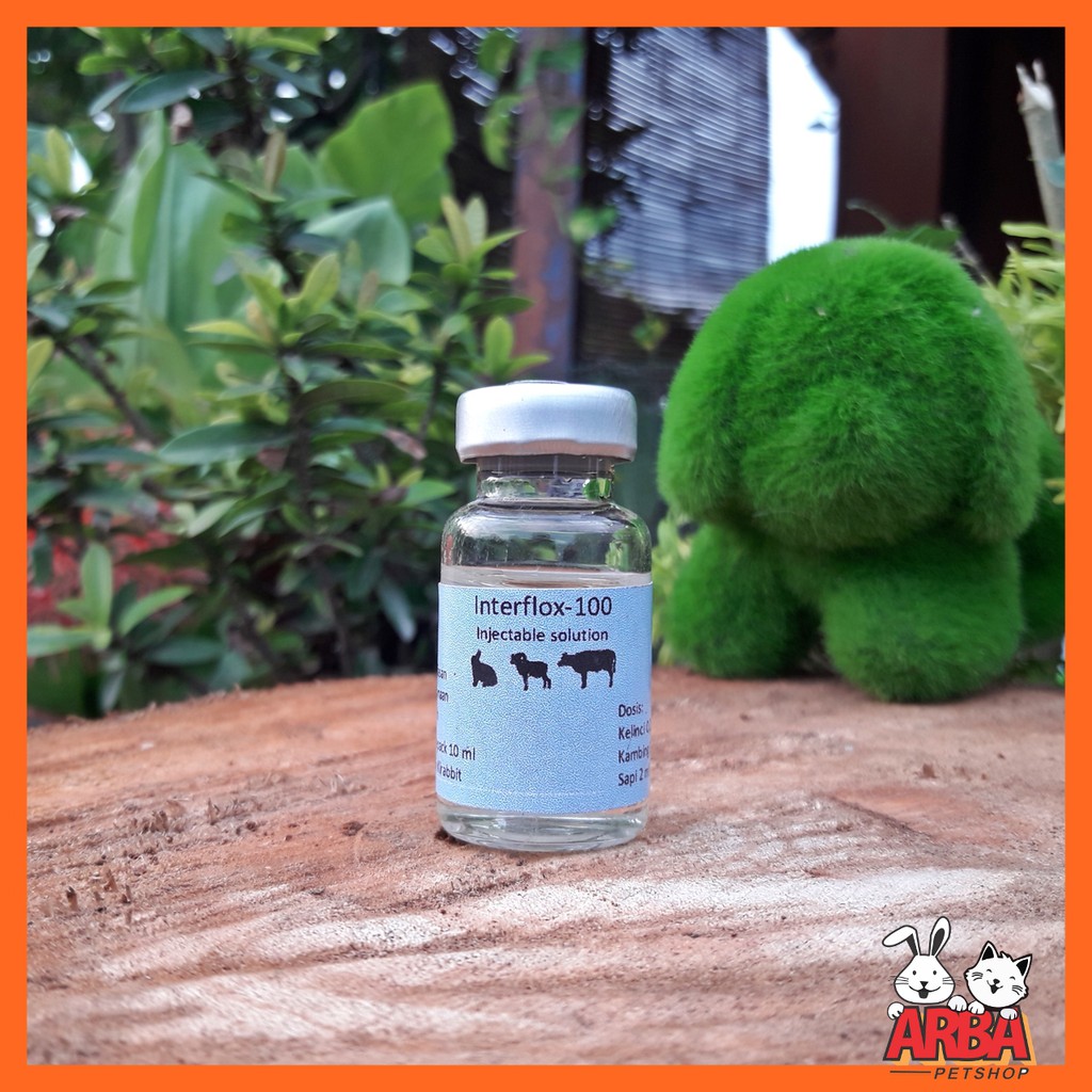 Jual Interflox Obat Flu Sesak Pernafasan Hewan Kelinci Kambing Sapi ...