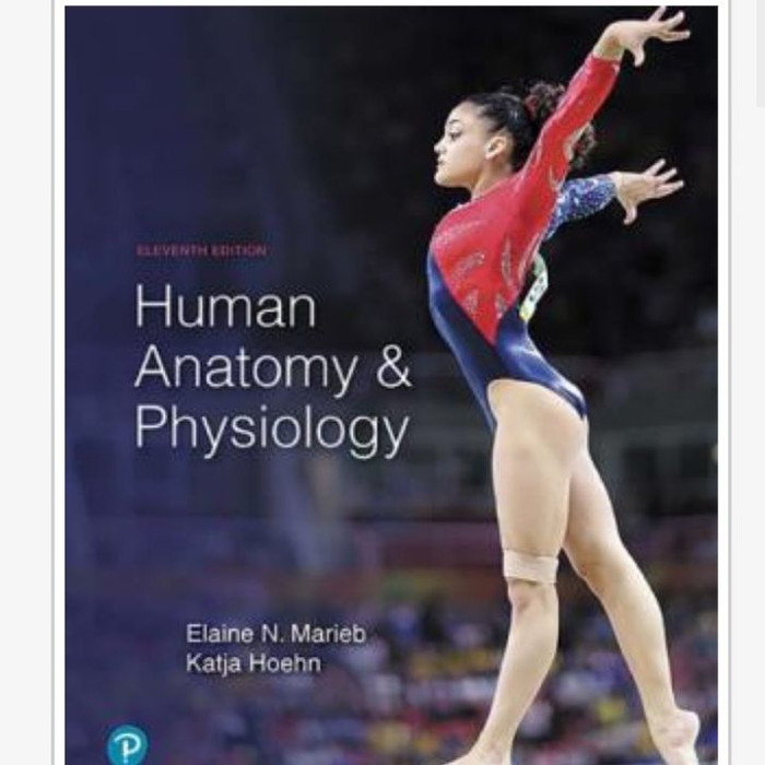 Jual Buku - Human Anatomy And Physiology Elaine N. Marieb | Shopee ...