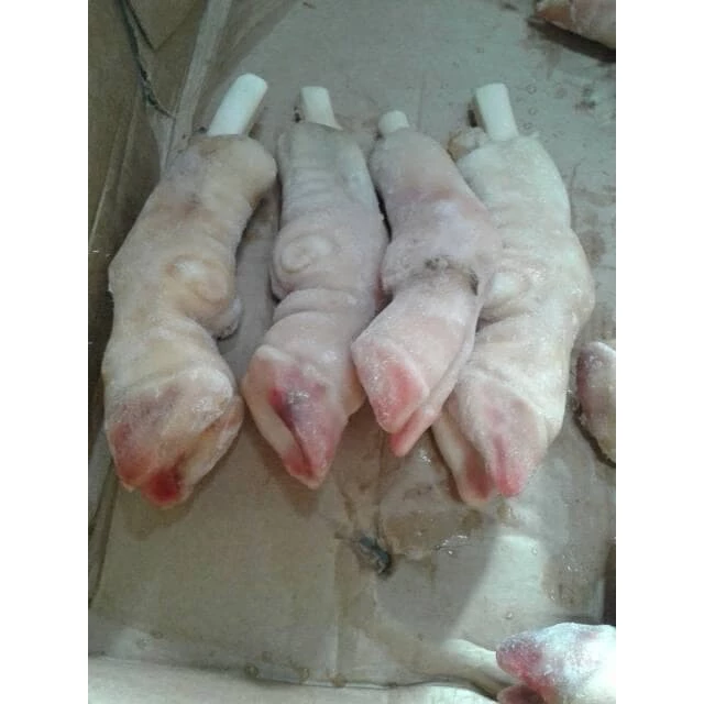 kaki kambing