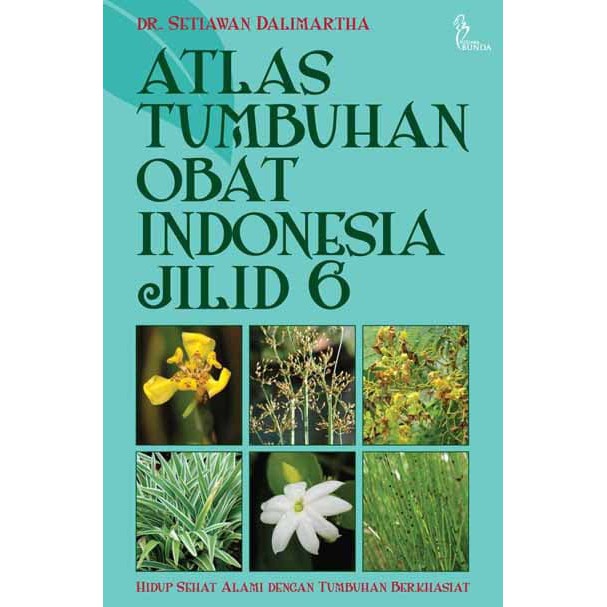 Jual Buku ATLAS TUMBUHAN OBAT INDONESIA JILID 6 Shopee Indonesia