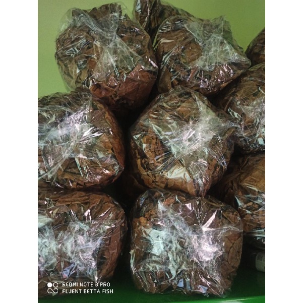 Jual Daun Ketapang Laut Olahan Kemasan Kg Original Ketapang Laut