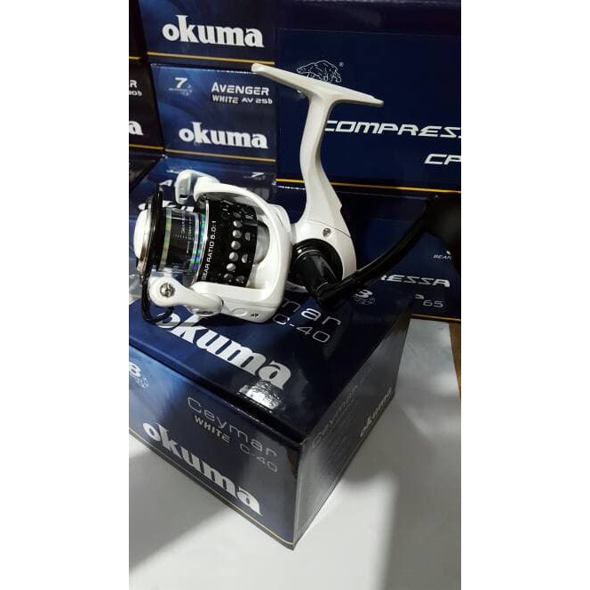 deep sea fishing poles Dr.Fish Surf Spinning Rod and Reel Combo Saltwater Fishing Gear 12ft Surf Rod 10000 Spinning Reel Offshore Ocean Equipment Set : Sports & Outdoors Fuji silicon carbide tops Color:Shad-Z Medium Lure Lock Fishing Mach II