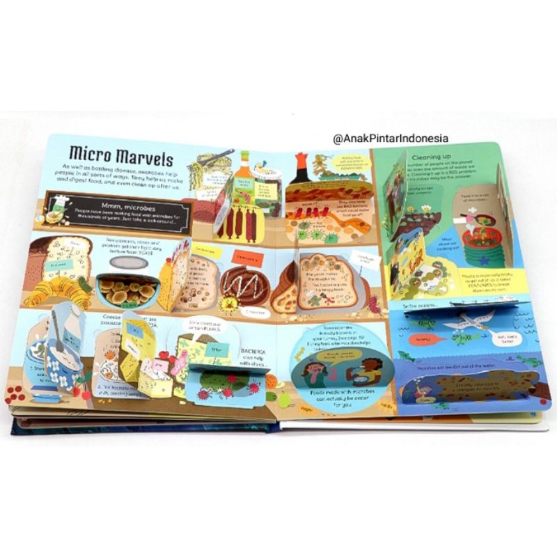 Jual AN USBORNE FLAP BOOK SEE INSIDE THE MICROSCOPIC WORLD | Shopee ...