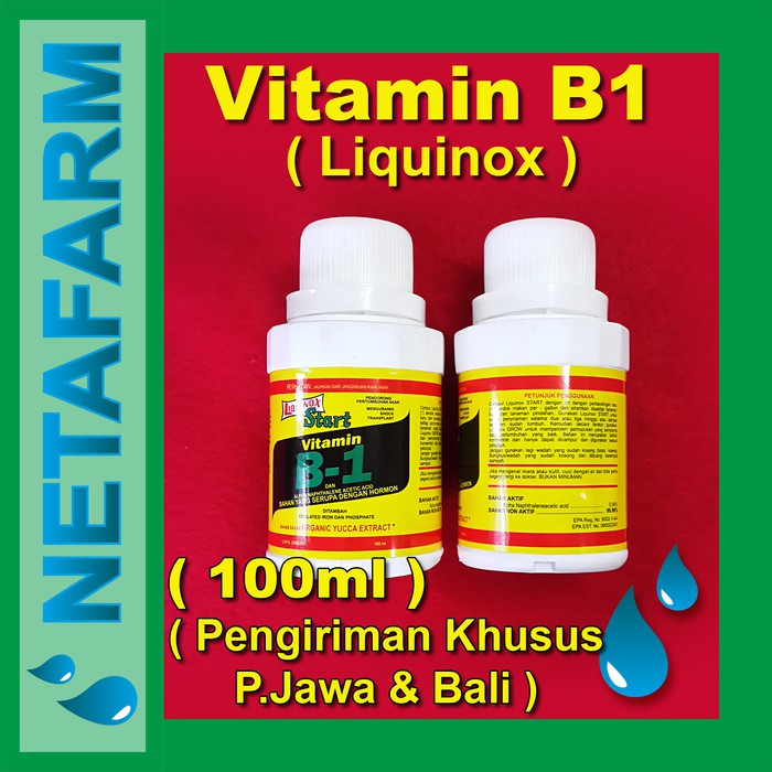 Jual PUPUK VITAMIN B1 - LIQUINOX B1 Isi 100ml | Shopee Indonesia