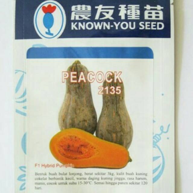 Jual Benih Labu Kuning Butternut Pumpkin Peacock Pack - Known You Seed ...