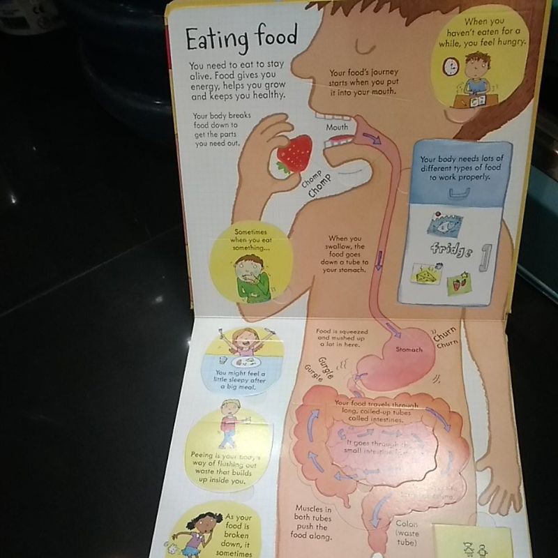 Jual Usborne look inside your body 100% original | Shopee Indonesia