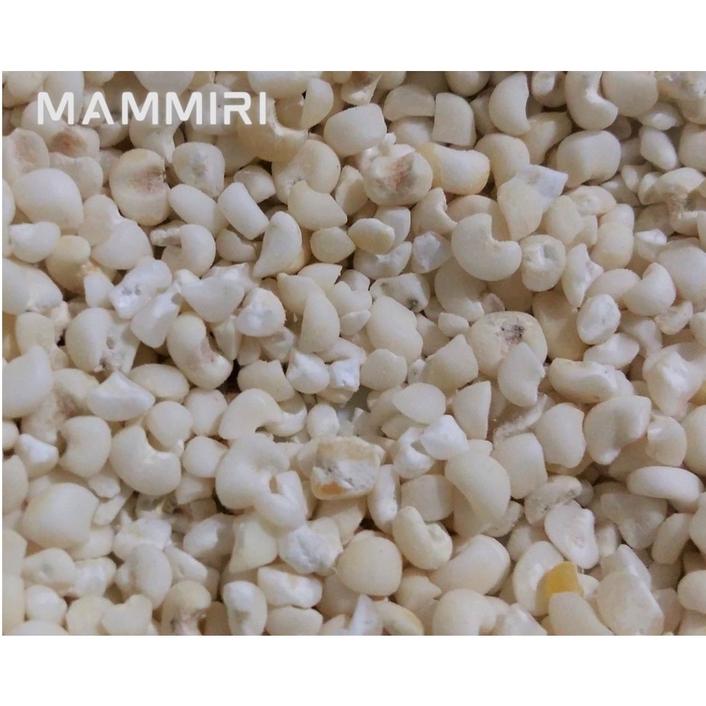 Jual Jagung Pulut Bassang Khas Makassar 1 kg | Shopee Indonesia
