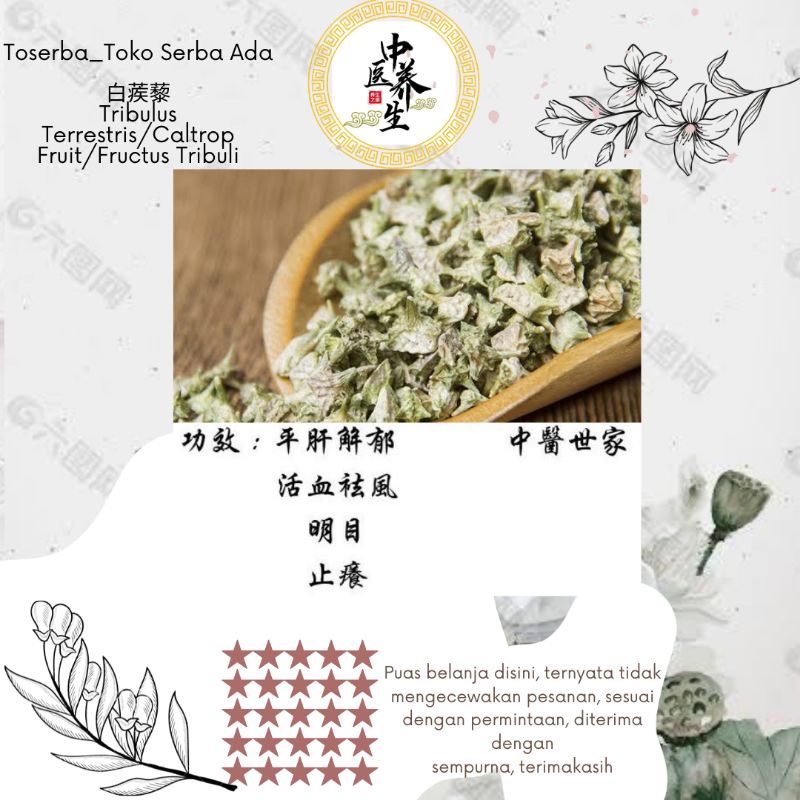 Jual 100gr herbal bai ji li premium grade tribulus terrestris caltrop ...