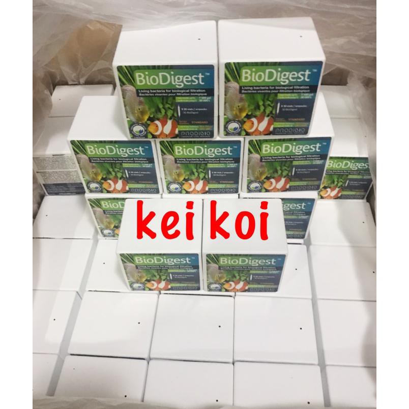 Jual PRODIBIO BIODIGEST 1 VIALS / AMPUL | Shopee Indonesia