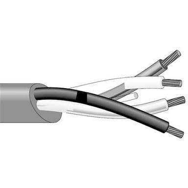 Jual Canare 4S12F original Japan speaker cable quad core meteran ...