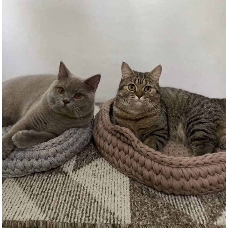 Jual tempat tidur kucing hewan rajut keranjang bed cat lingkaran ...