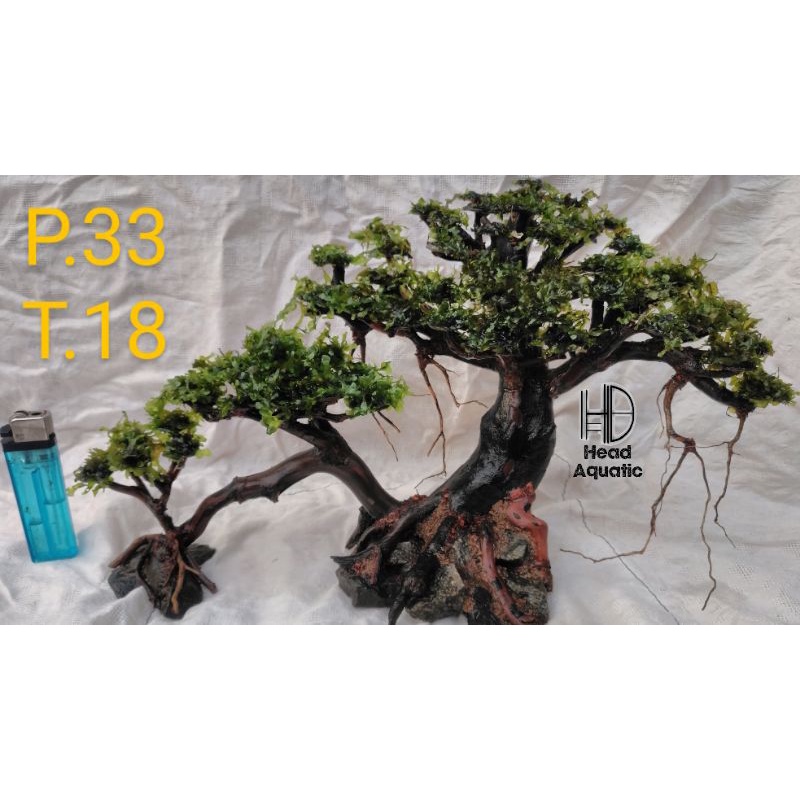Jual Bonsai aquascape Rasamala Moss A0006 Shopee Indonesia