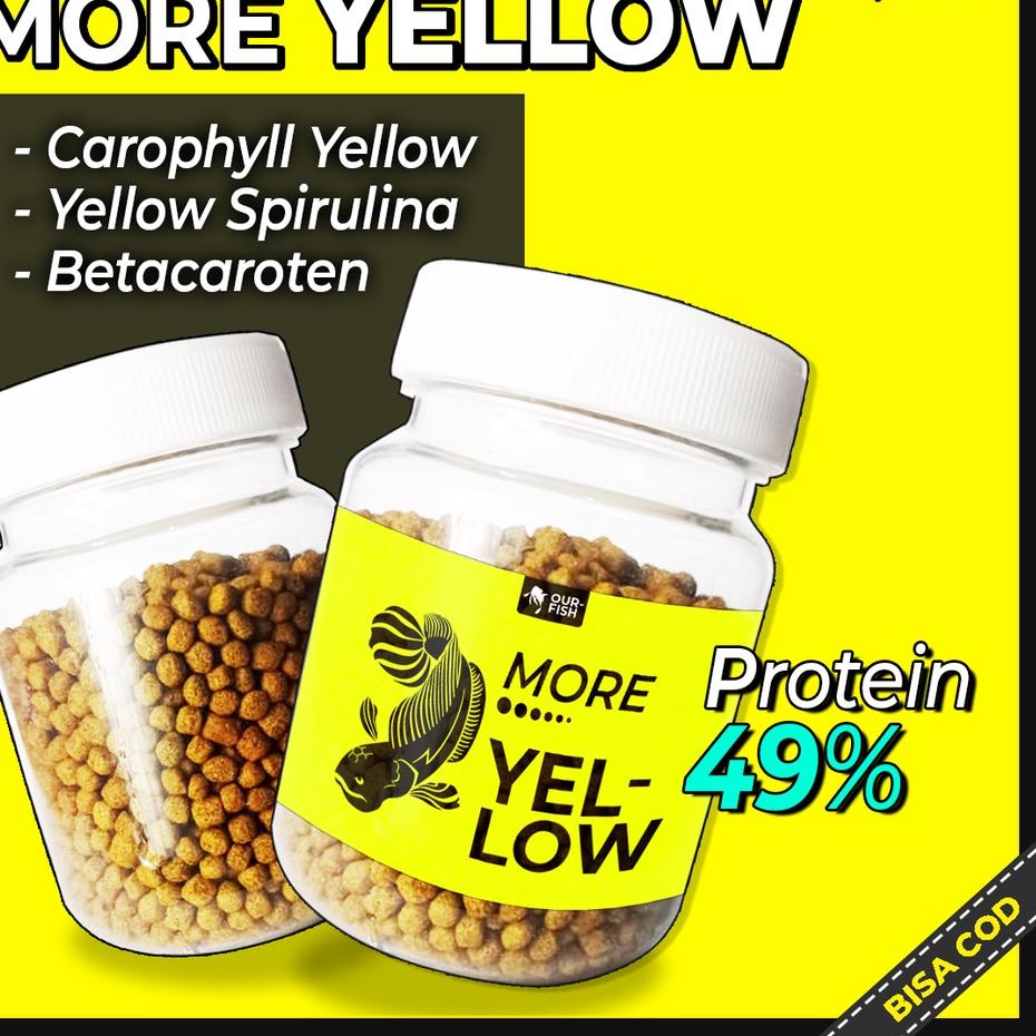 Jual SALE!! Pelet Ikan Channa MORE YELLOW BLUE RED Pakan Ikan Channa ...