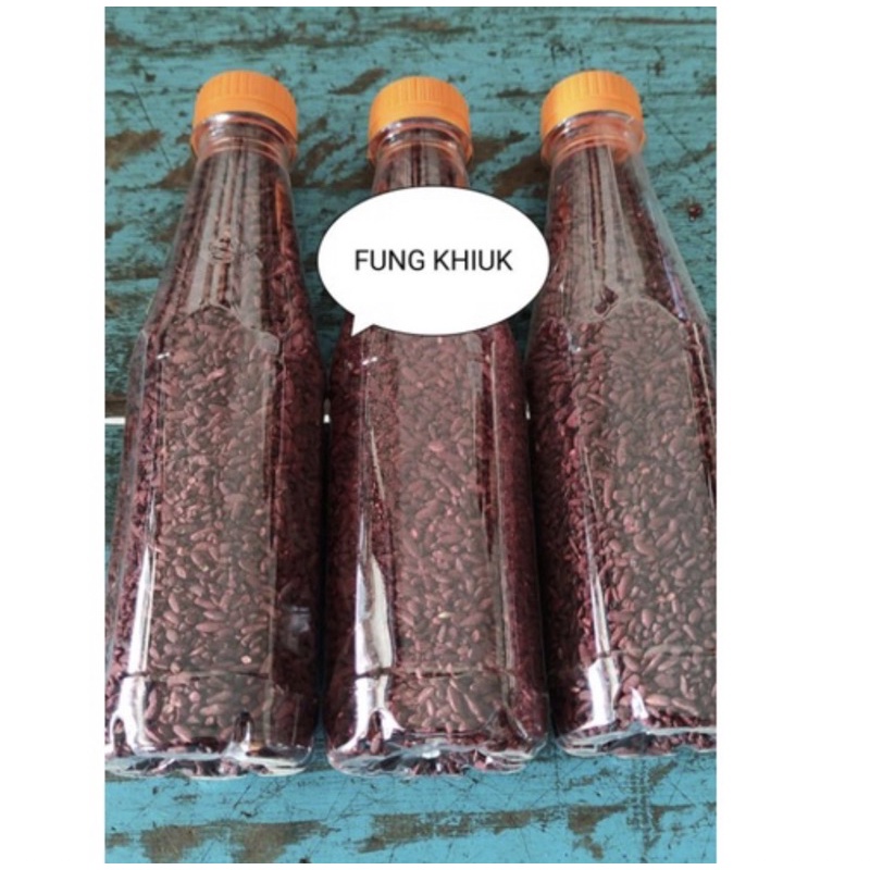 Jual ANGKAK / FUNGKHIUK KEMASAN BOTOL | Shopee Indonesia