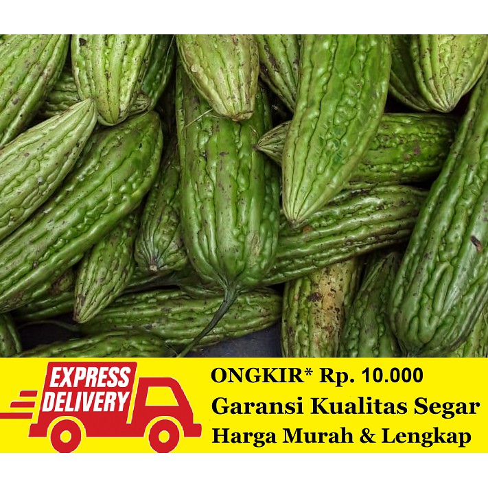 Jual Sayur Pare Segar 500 Gram Shopee Indonesia