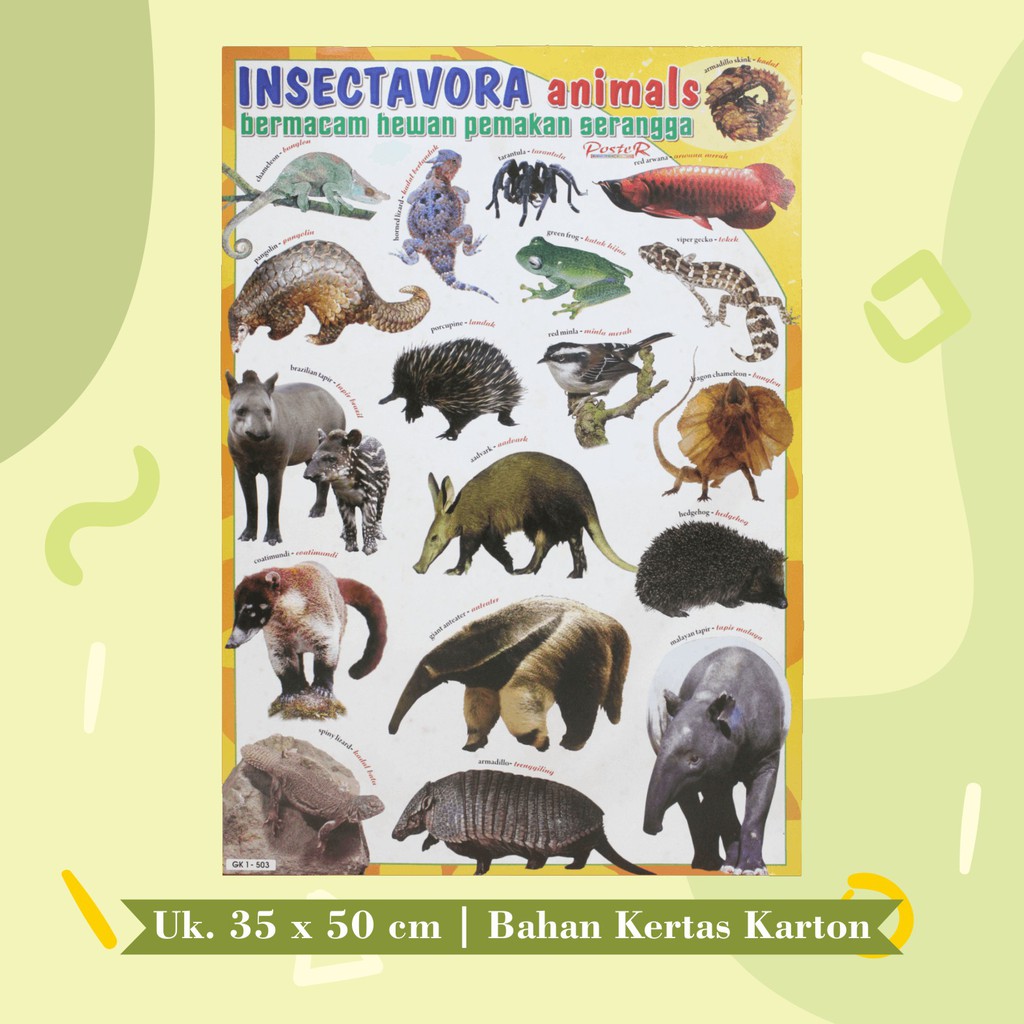 Jual Poster Edukasi Anak Mainan Edukasi Anak Lembaran : Herbivora