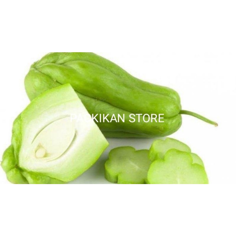 Jual Labu Segar Dan Bergarasi 500g | Shopee Indonesia