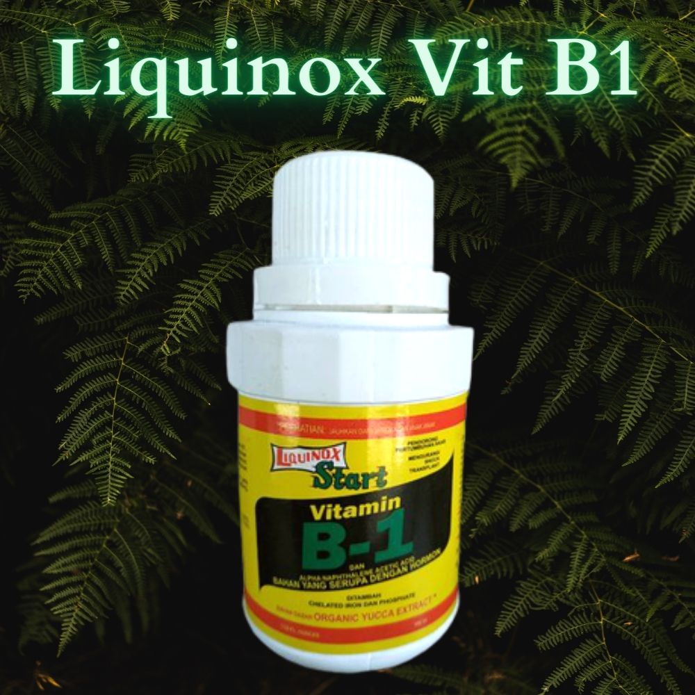 Jual Liquinox Vitamin B1 100Ml | Shopee Indonesia