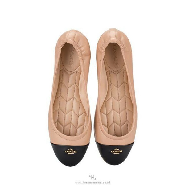 Coach bonnie best sale ballet flats