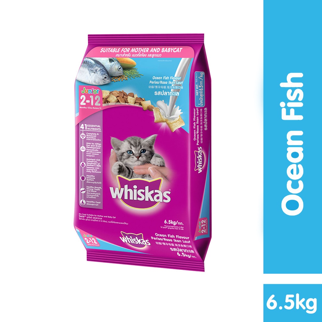 Jual Whiskas Kitten Junior 212 Month Dry Food Ocean Fish With Milk Repack 500gr Shopee Indonesia