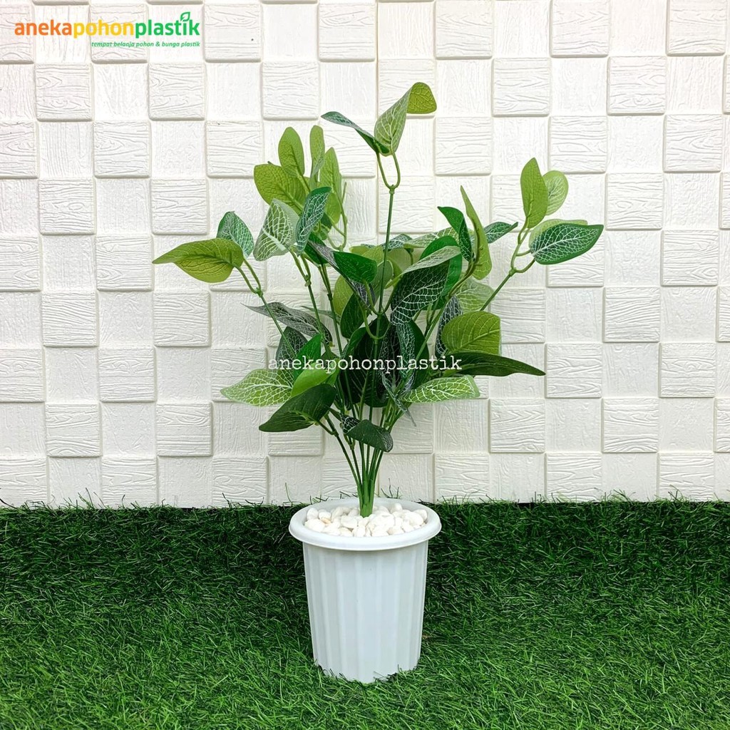 Jual Tanaman Hias Daun Fittonia Artificial Pot Yogap Plastik Putih Dekorasi Ruangan Imitasi