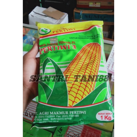 Jual Benih Jagung Hibrida PERTIWI 3 / Benihpertiwi | Shopee Indonesia