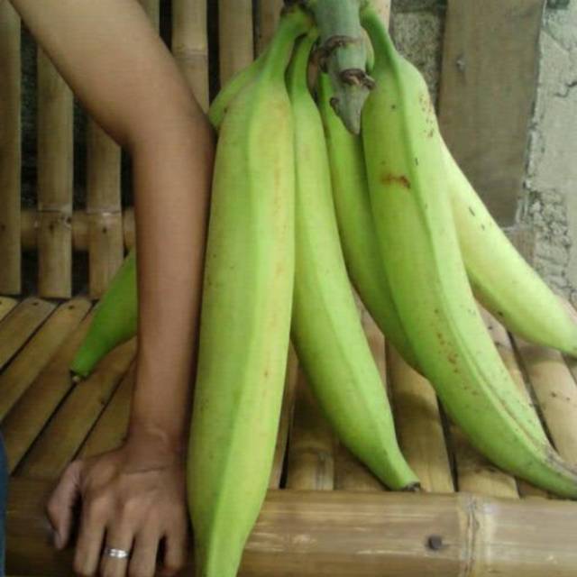 Jual Pisang Panjang Jumbo 1 Kg Shopee Indonesia