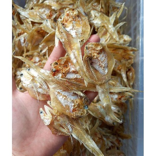 Jual Ikan bulu Ayam Tipis 500gr | Shopee Indonesia