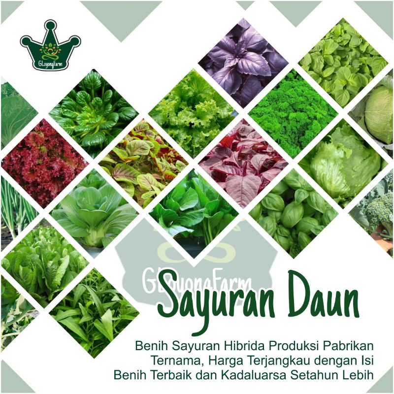 Benih Bibit Sayur Selada Brokoli Kangkung Bayam Seledri Kubis BungaKol Pakcoy Caisim - Gloyong Farm