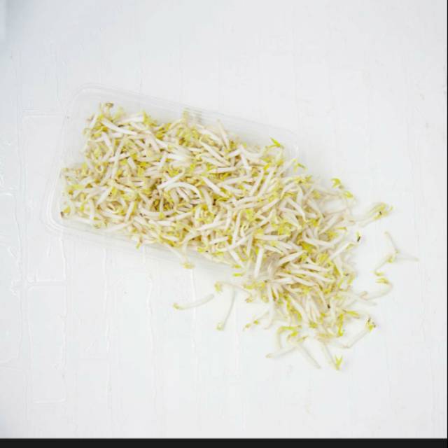 Jual Toge tauge 100gram | Shopee Indonesia
