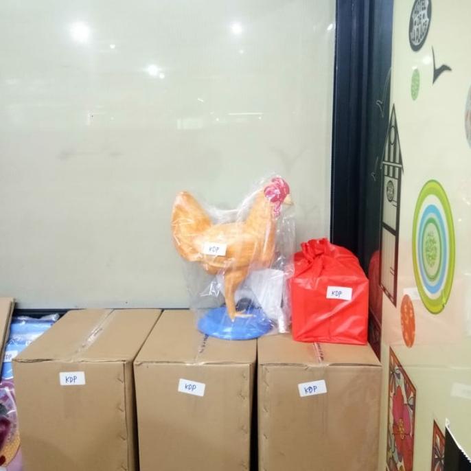 Jual Alat Peraga Biologi Torso Ayam Manikin Ayam Model Ayam Shopee Indonesia