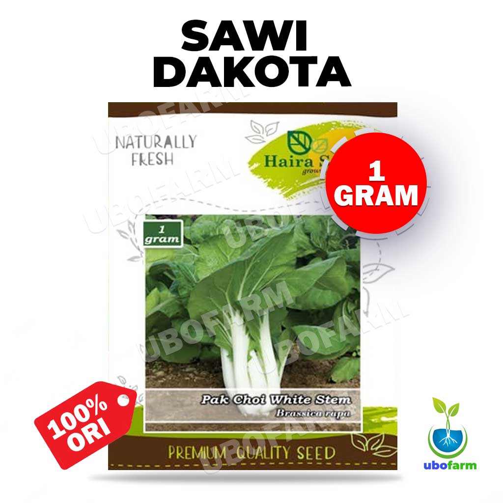 Jual Benih Sawi Dakota Pakcoy Putih Cap Haira Seed Isi 1 Gram Shopee