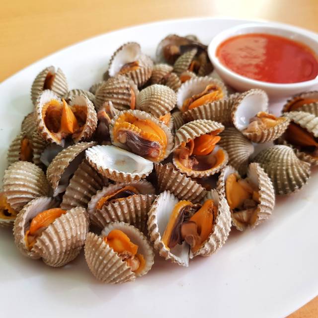 Jual Kerang Dara Rebus Shopee Indonesia