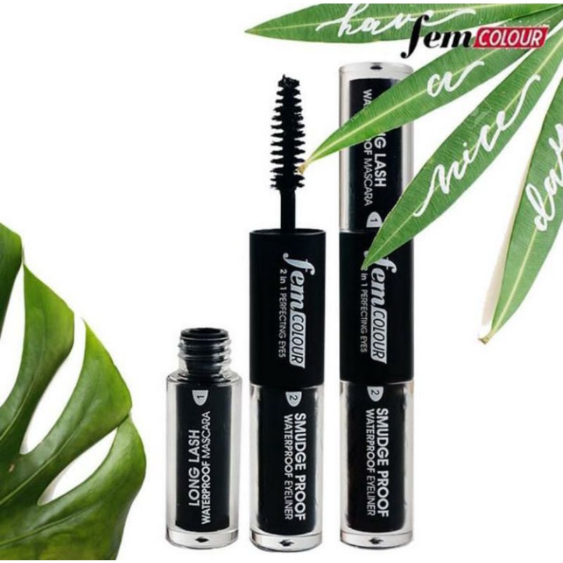 Jual Fem 2In1 Perpecting Eyes (Maskara dan Eyeliner) Shopee Indonesia