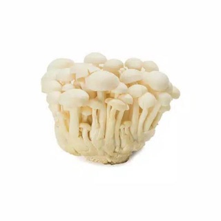 home-aoki-cogumelos-shitake-shimeji-branco-champignon-mushroom-04