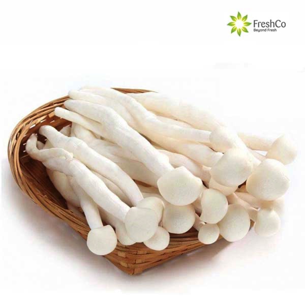 Jual FRESHCO Jamur Snow White Shimeji [ 3 Pcs / 150 gr ] Shopee Indonesia