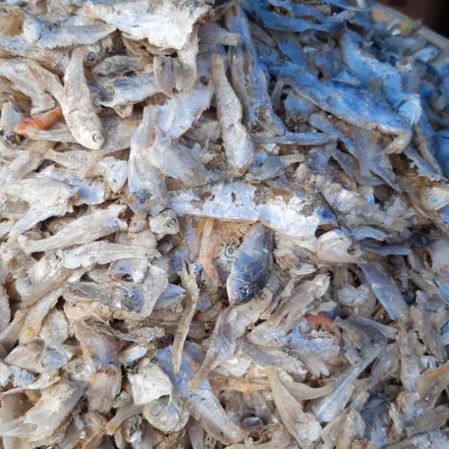 Jual Ikan campur/ ikan sampah medan | Shopee Indonesia